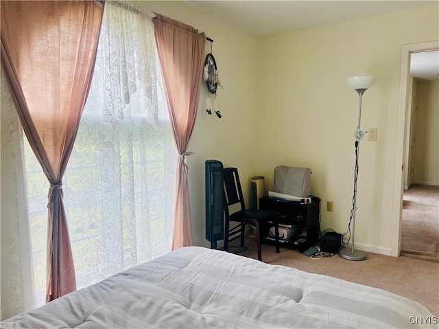 bedroom featuring carpet floors