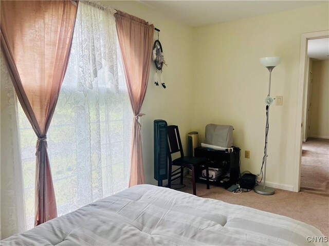3676 Hedgemoor Dr, Cortlandville, NY 13045 - photo 38