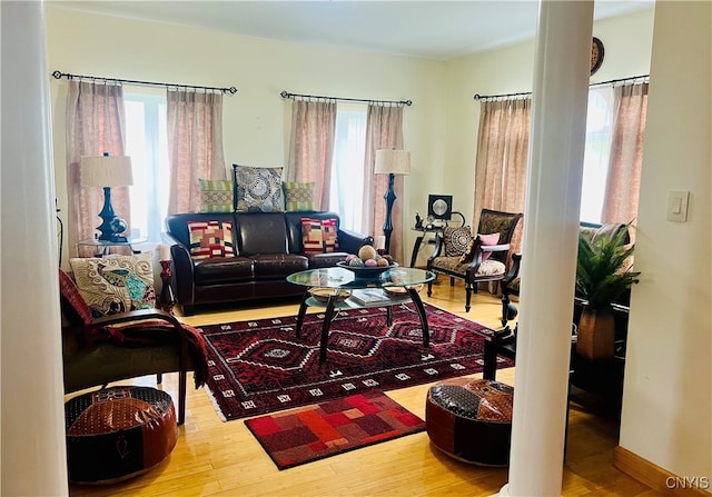 living room featuring hardwood / wood-style floors