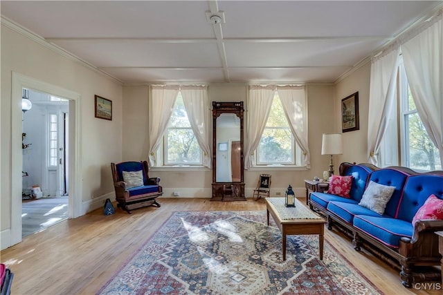 sitting room with crown molding, baseboards, and wood finished floors