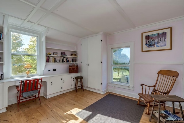 living area with built in shelves, plenty of natural light, and light wood-style flooring