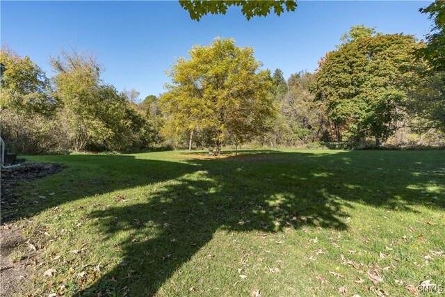 view of yard with a view of trees