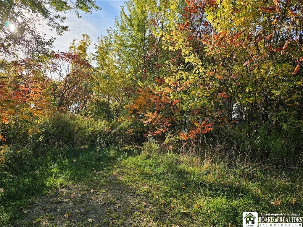 5837 Perdue Rd, Ripley, NY 14775 - photo 1