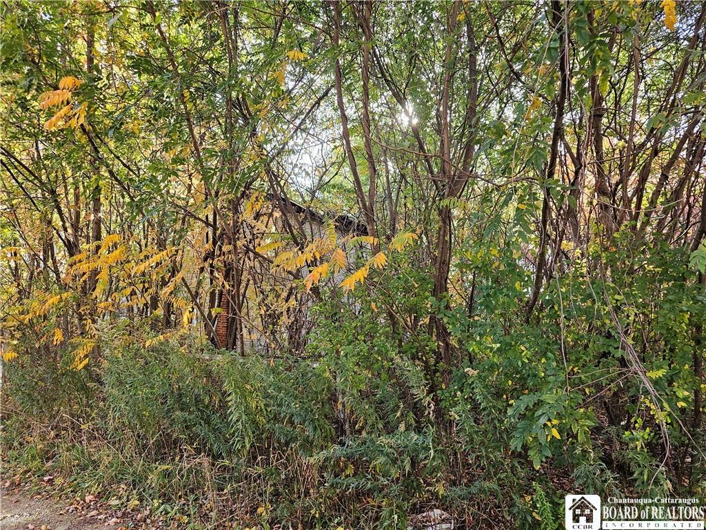 5837 Perdue Rd, Ripley, NY 14775 - photo 3