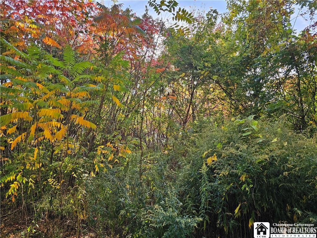 5837 Perdue Rd, Ripley, NY 14775 - photo 4