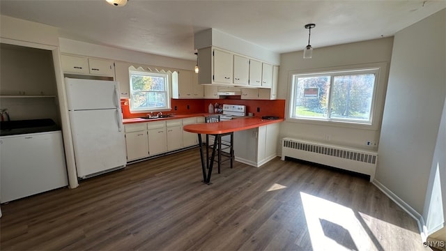 kitchen featuring white cabinets, radiator heating unit, dark hardwood / wood-style flooring, sink, and white appliances