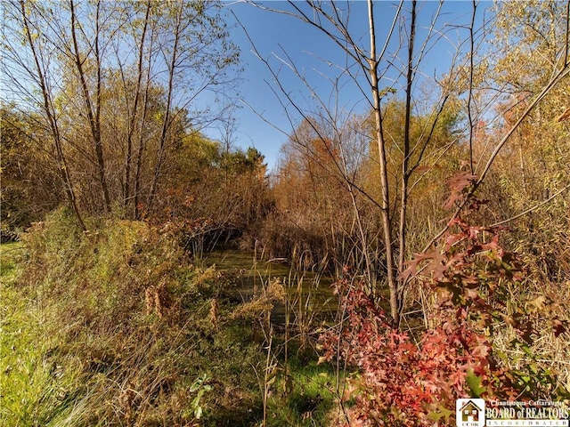 view of local wilderness featuring a forest view