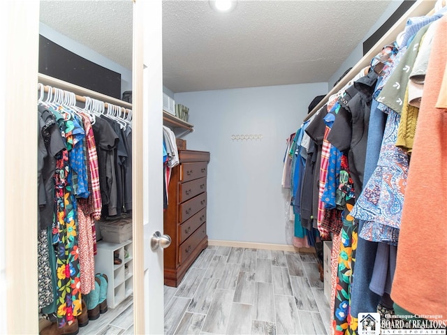 spacious closet featuring light hardwood / wood-style flooring