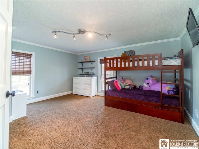 carpeted bedroom with crown molding, multiple windows, and a textured ceiling