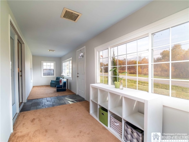 interior space with dark colored carpet