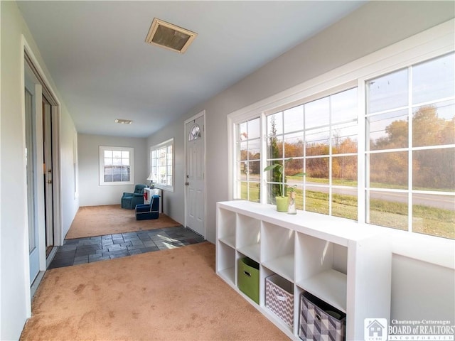 doorway featuring visible vents, carpet, and stone tile floors