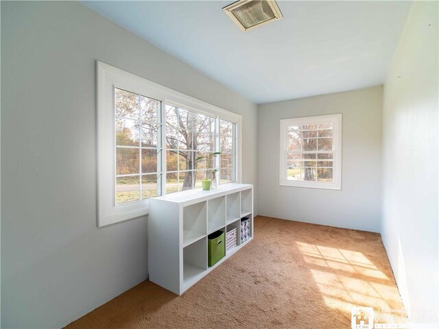 view of carpeted empty room