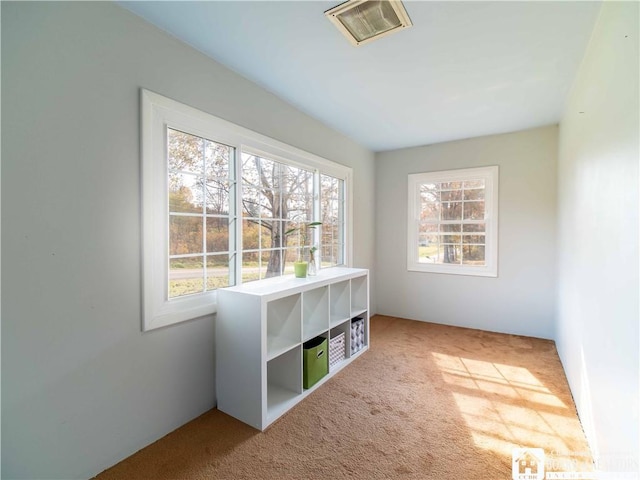 carpeted spare room with visible vents