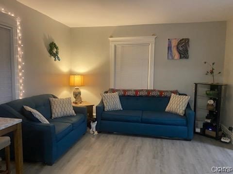 living room featuring hardwood / wood-style floors