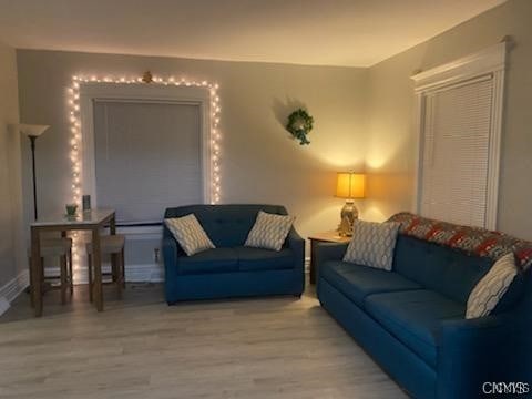 living room featuring hardwood / wood-style floors