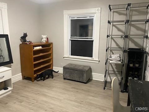 sitting room with light wood-type flooring