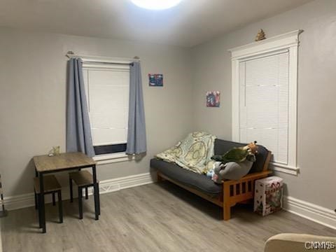 living area featuring hardwood / wood-style flooring