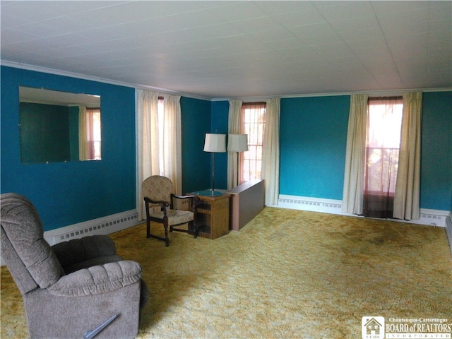 living room featuring carpet, a baseboard radiator, and ornamental molding