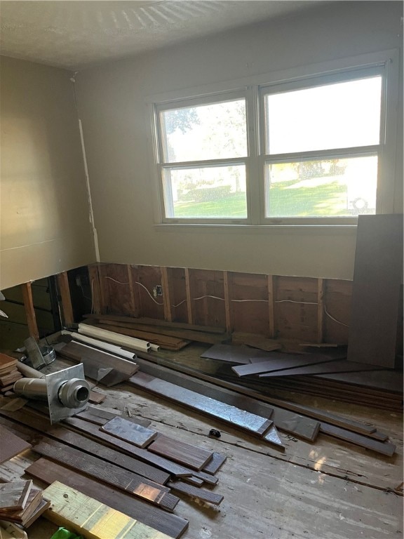 miscellaneous room with hardwood / wood-style floors and a wealth of natural light