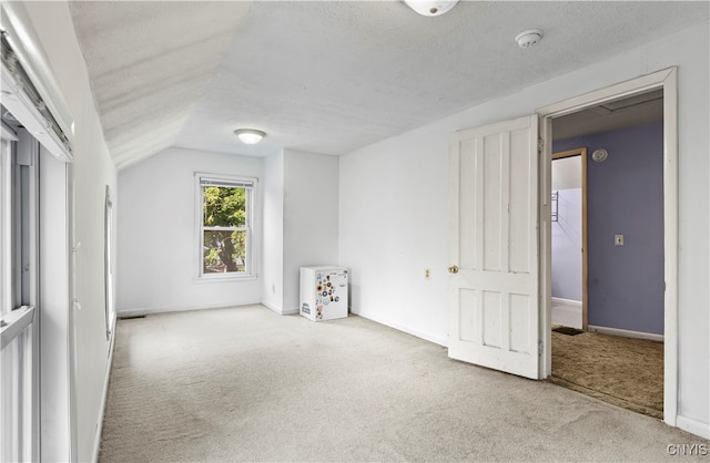 additional living space featuring light carpet, a textured ceiling, and vaulted ceiling