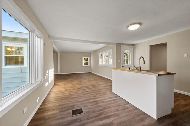 kitchen with sink, hardwood / wood-style flooring, and a center island with sink