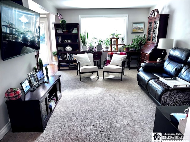 living room featuring carpet floors