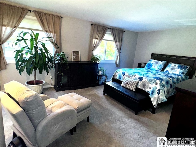 bedroom featuring carpet flooring