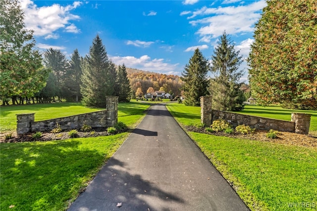 view of property's community with a yard