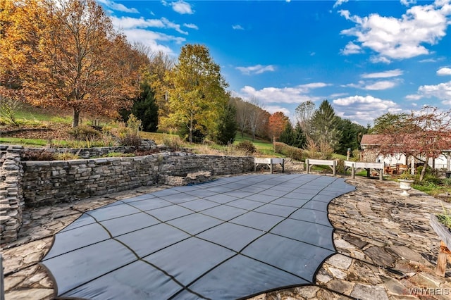 view of swimming pool featuring a patio area