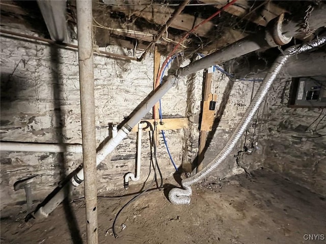 basement with electric panel