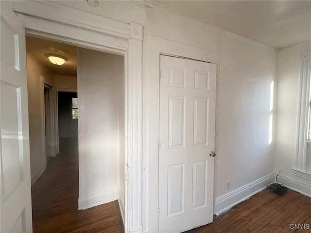 hall featuring dark wood-type flooring