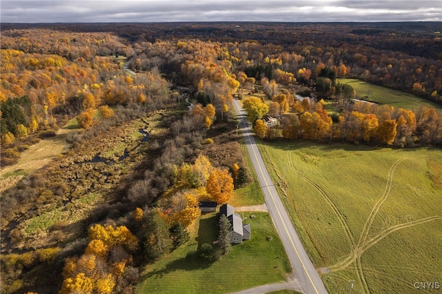 drone / aerial view with a rural view