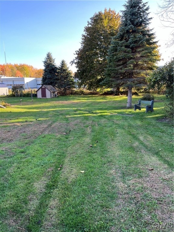 view of yard with a storage unit