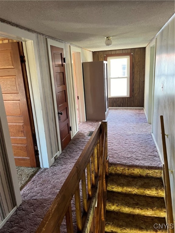 hall with carpet, a textured ceiling, and wooden walls