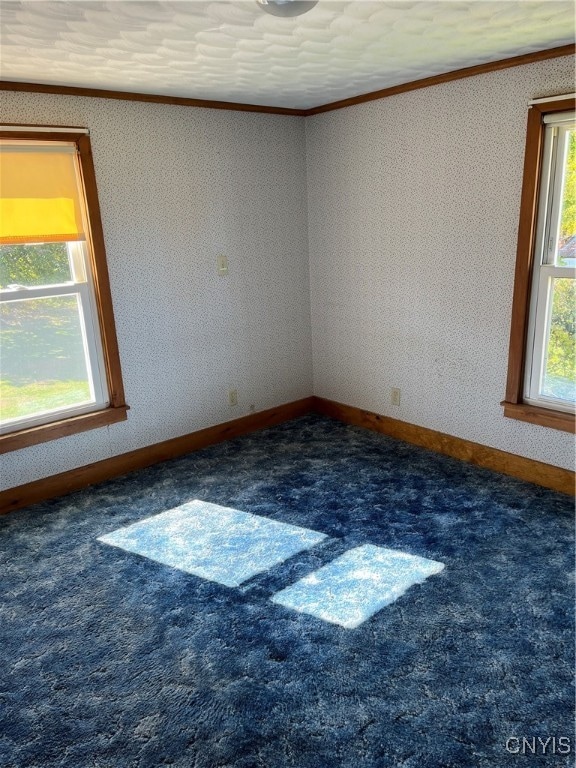 unfurnished room featuring crown molding, a textured ceiling, and dark carpet