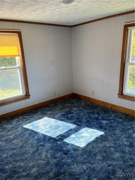 18376 Nys Rte 177, Adams, NY 13605 - photo 19