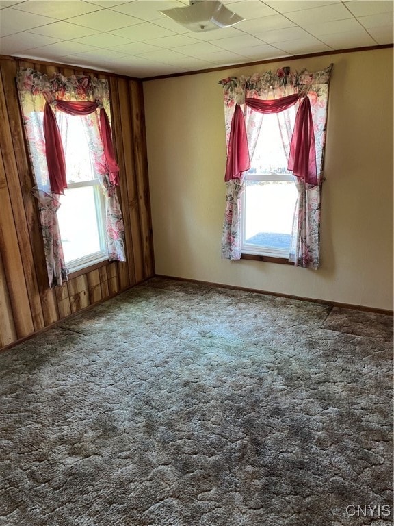 carpeted empty room featuring plenty of natural light