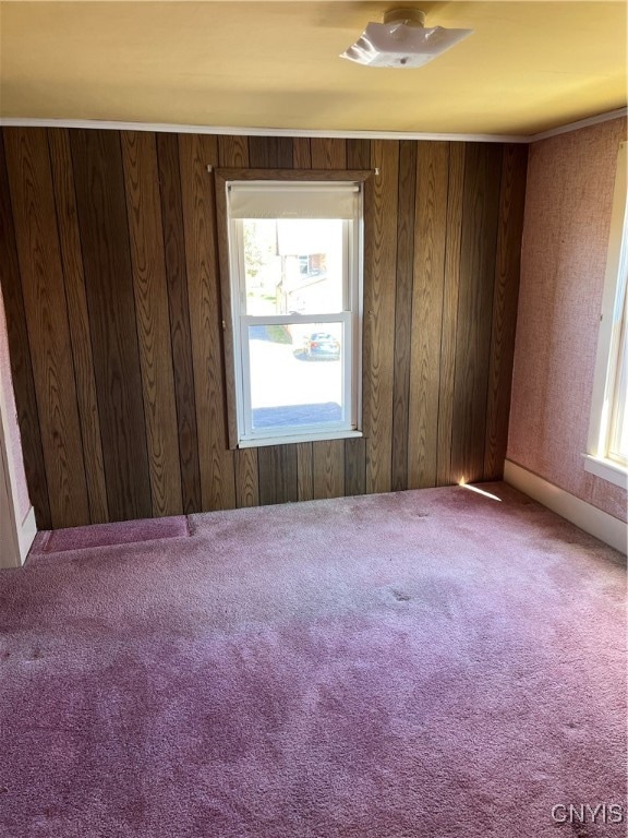 carpeted empty room featuring wood walls