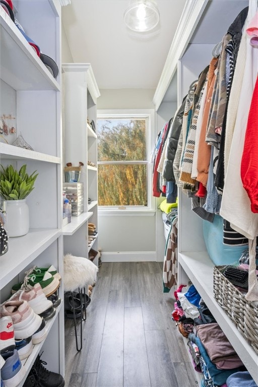 spacious closet featuring hardwood / wood-style flooring