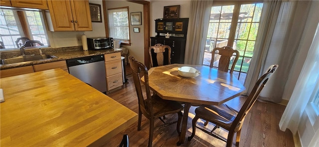 dining area featuring sink, a healthy amount of sunlight, and dark hardwood / wood-style flooring