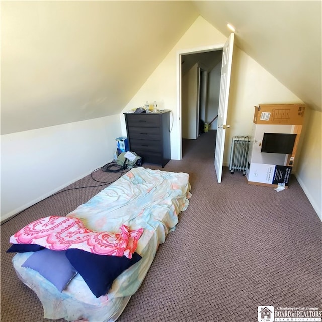 carpeted bedroom with radiator and vaulted ceiling