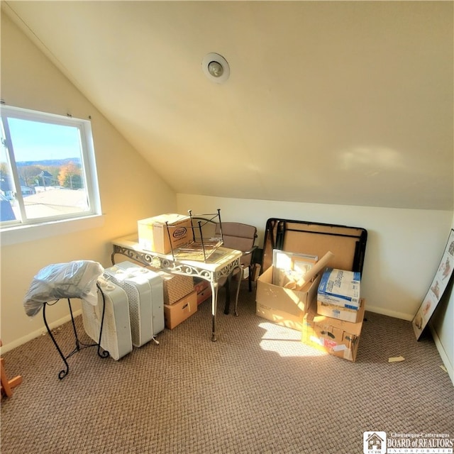 bedroom featuring carpet and vaulted ceiling