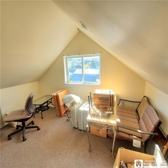 bonus room featuring vaulted ceiling and carpet floors