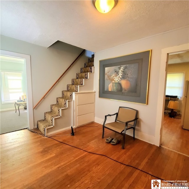 sitting room with a textured ceiling and wood-type flooring