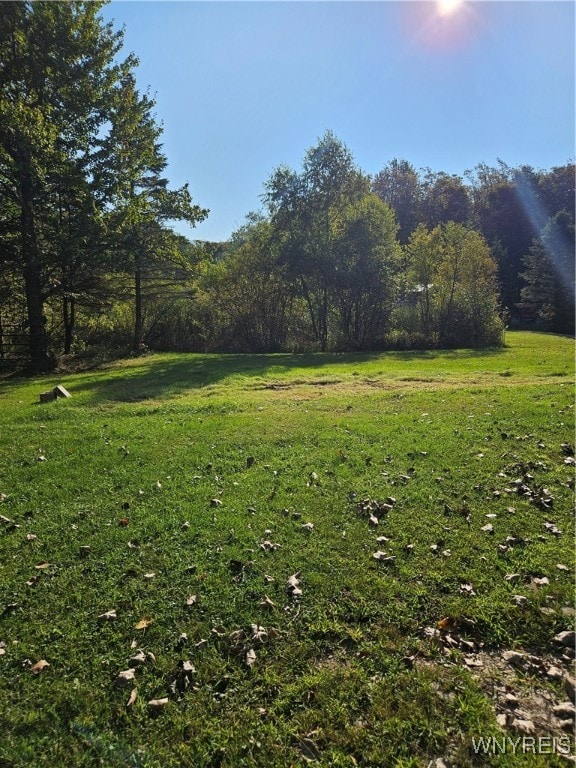 10130 Phillips Rd, Sardinia NY, 14080 land for sale