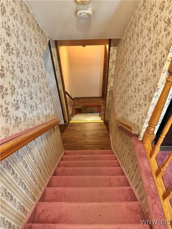 stairway featuring wood-type flooring