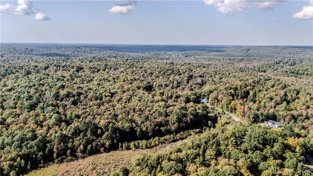 LotA Corbine Road, Diana, NY 13648 - photo 2