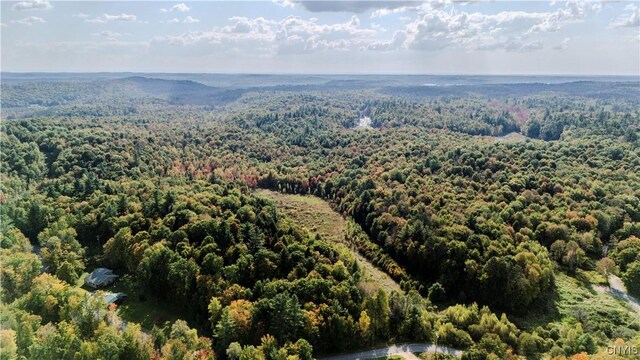 LotA Corbine Road, Diana, NY 13648 - photo 1