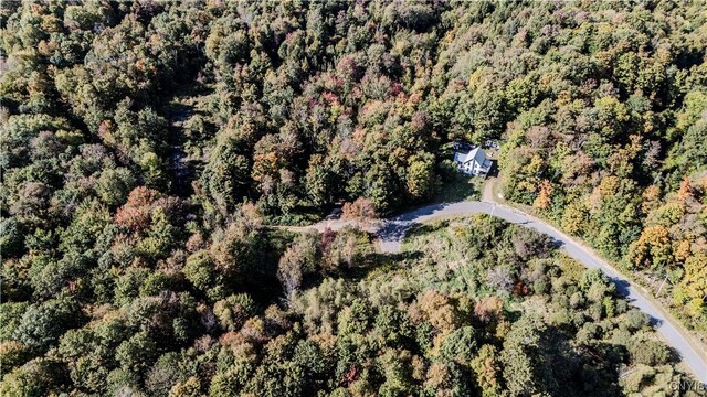 LotA Corbine Road, Diana, NY 13648 - photo 8