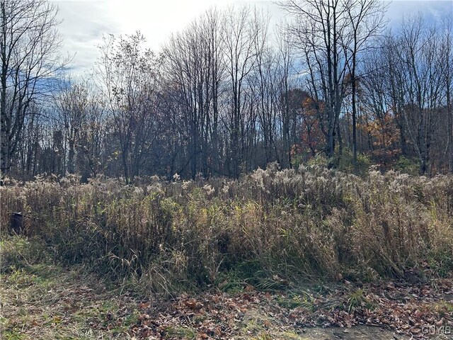 LotA Corbine Road, Diana, NY 13648 - photo 9